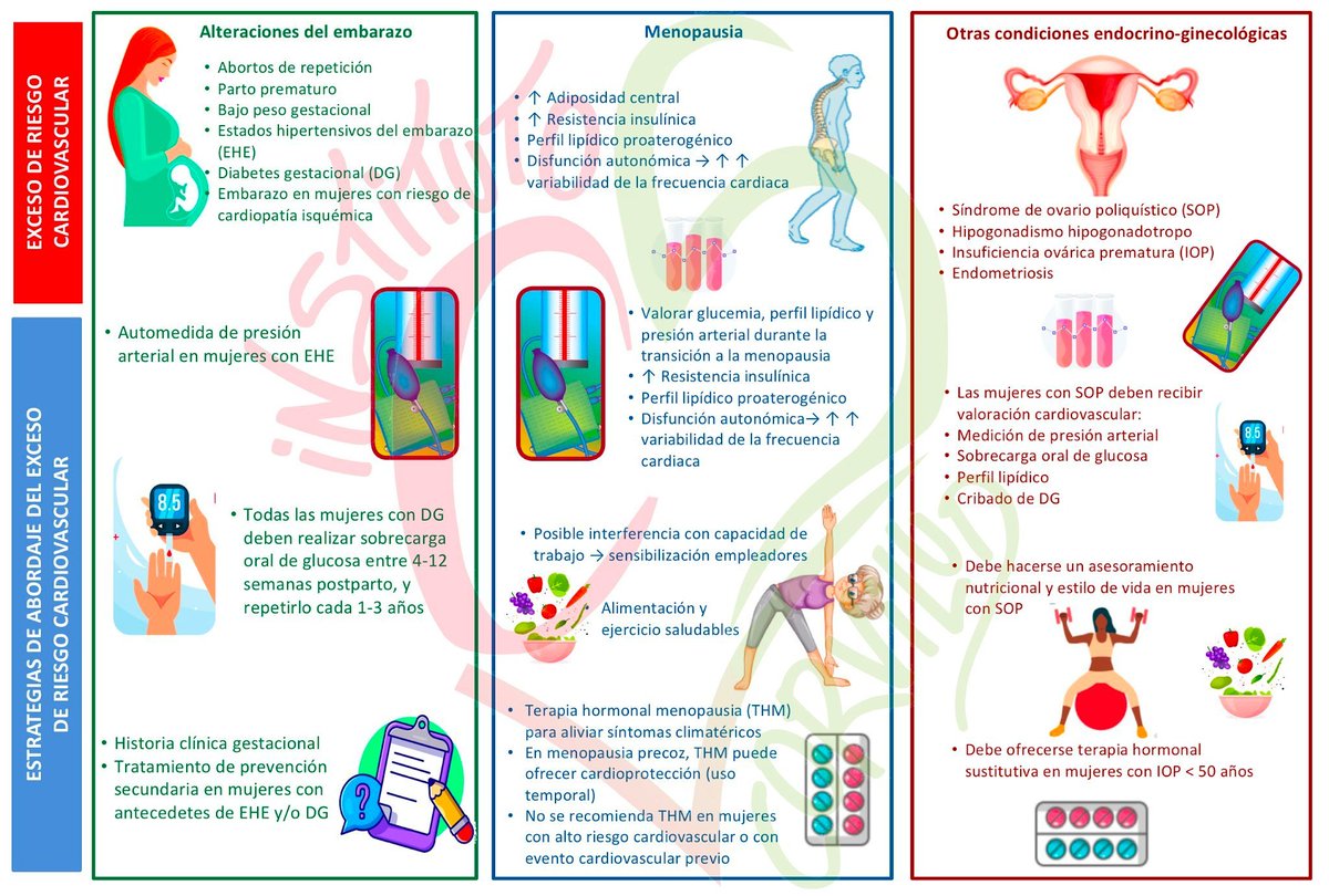 TRANSICIONES EN LA SALUD CARDIOVASCULAR DE LA MUJER
♀️Condicionantes hormonales➡️salud CV
♀️Cada transición supone FRCV específicos
♀️Atender, entender/acompañar cada etapa: estrategias prevención/Dxco/manejo
♀️Educación y divulgación necesarias para optimizar bienestar y salud