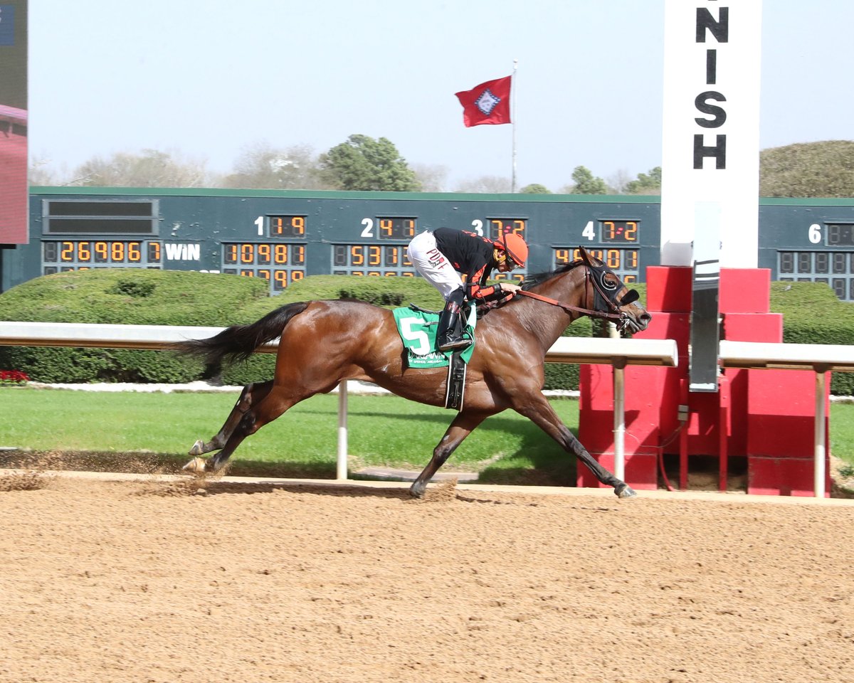 From Oaklawn to Santa Anita!
Where’s My Ring 💍 is back in action this Monday in the Santa Margarita (G2) for trainer Peter Miller. Don’t miss it with oaklawnanywhere.com! 🏇🔥
