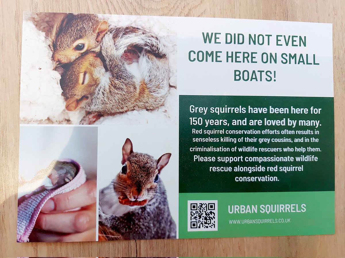 PLEASE HELP US TO FIGHT FOR OUR GREY FRIENDS! We are getting on with the parliamentary mail drop: leaflets and accompanying letters printed, envelopes and labels ready. Please support the action if you can! peoplesfundraising.com/fundraising/le…