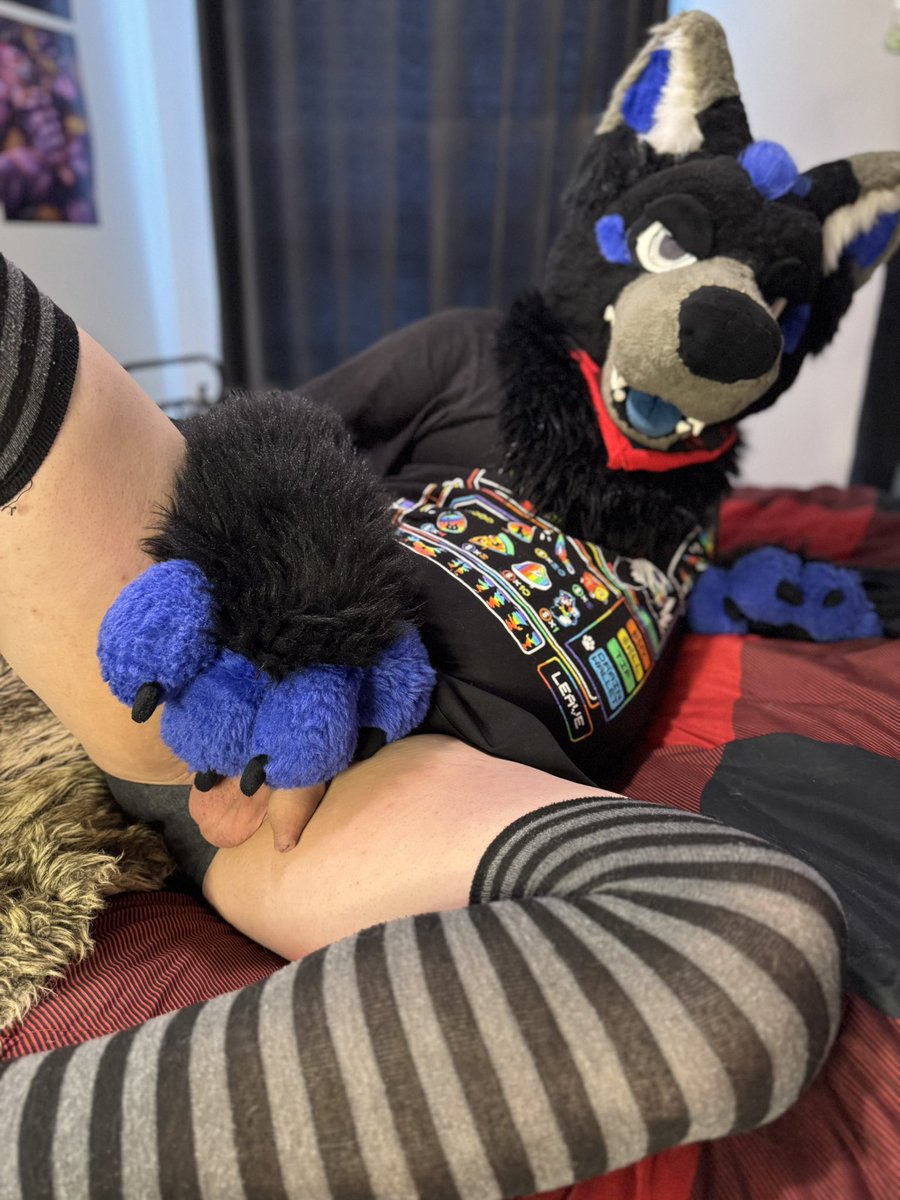 I need a toungue down there would you mind help a poor little princess wolf out ?
🐺👅🍆
🐺:<a href="/SkywayWolf/">Skyway</a> 
📸:<a href="/MuzoFox/">Muzo Fox</a> 

#Furry #Femboy #Furryfemboy #FursuitAD #FurryAD #Murrsuit #Murrsuiter #Furryfandom #Furrycommunity #Wolf #Wolfdog #Furrynsfw #NSFW #Furries #Furrie #Furrygay