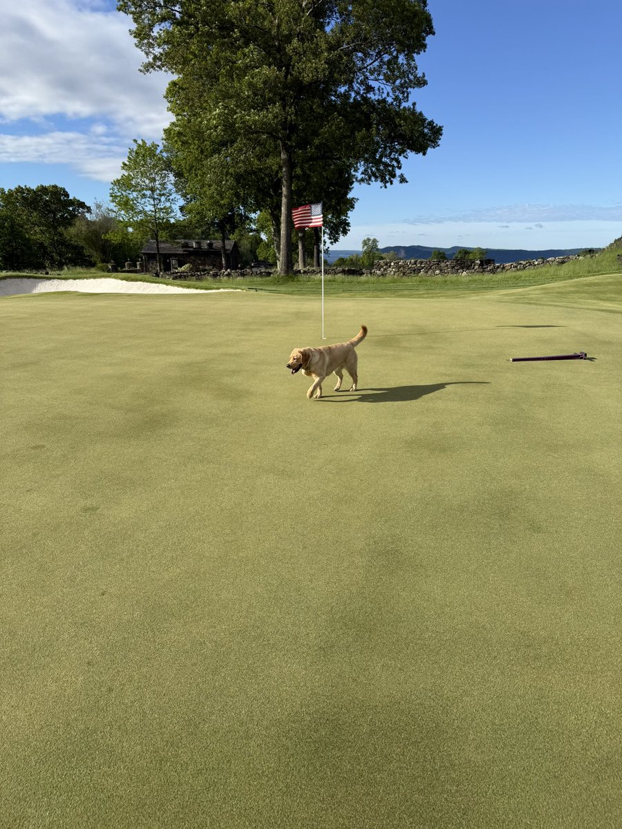 GPattiTurf's tweet photo. 5/25/25 #superbent https://t.co/HdcIGXuLHb