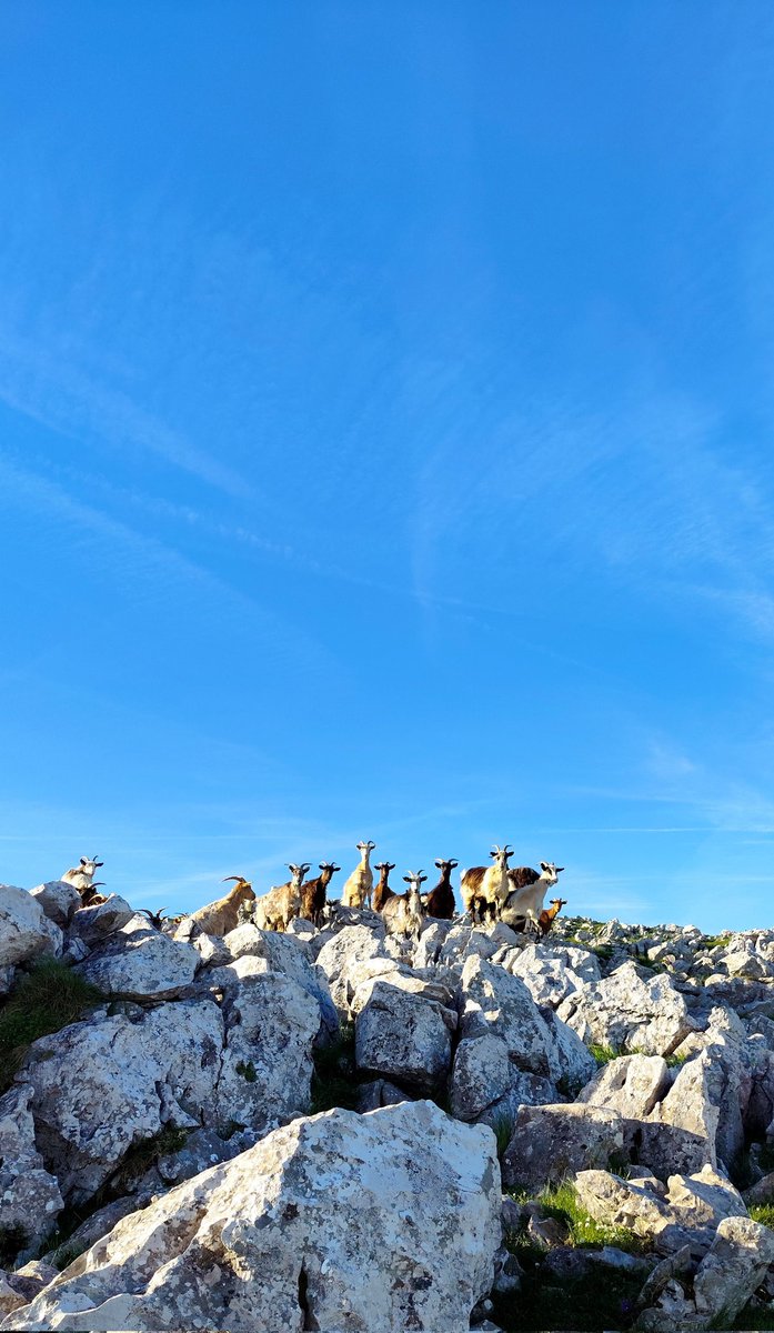 Cuando sales a correr una horita y te lías...