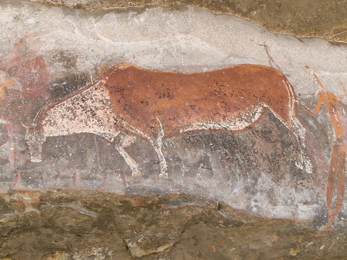 Top 8 at Durban SPE 🇿🇦 Scooped in cut as flights meant I couldn't make finals 🙃

Huge thanks to the amazing South African playing community, staff and judging team and all my opponents this weekend. Favourite place I've played this year 💞

+280 CP ➡️ 880/T125