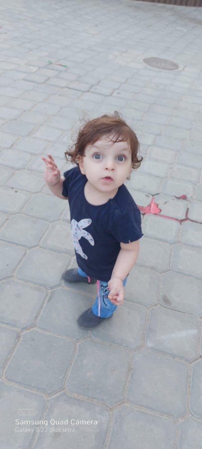 Irudia