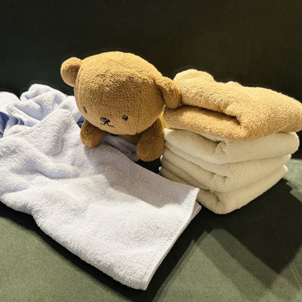 BorisPori's tweet image. ( ・ᴥ・ )🧺