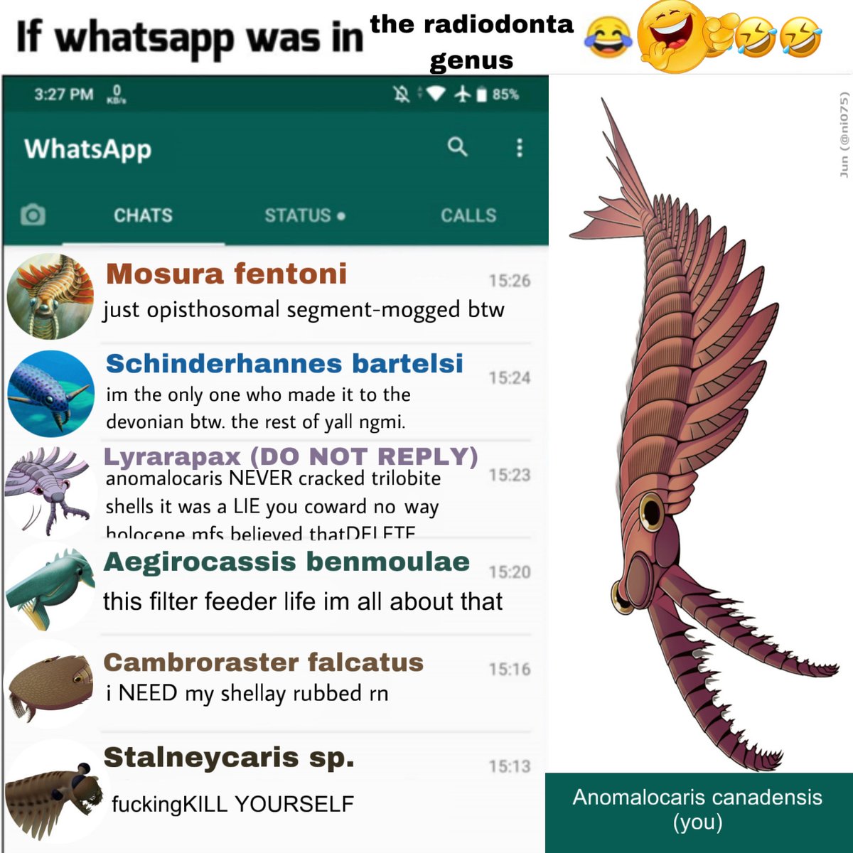 0rthoptera's tweet photo. flap my lateral flaps https://t.co/xRfC9pRLne