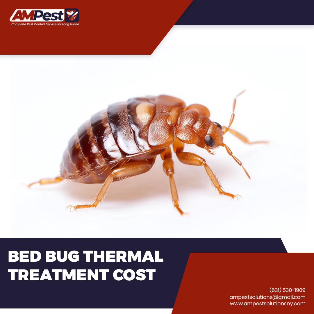 AMpestsolutions's tweet image. Looking for an eco-friendly way to get rid of bedbugs? Thermal treatments are chemical-free, fast, and highly effective. At AM Pest Solutions, we provide competitive thermal bed bug treatment pricing that makes comfort affordable.

#BedBugHeatTreatment #AMPEstSolutions #SleepSafe