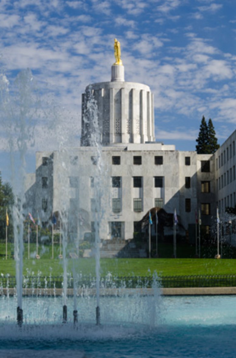 Oregon’s Ban on Book Bans is Heading For a Final Vote in the Legislature; &amp; More Headlines infodocket.com/2025/05/25/ore… #books #bookbans #libraries