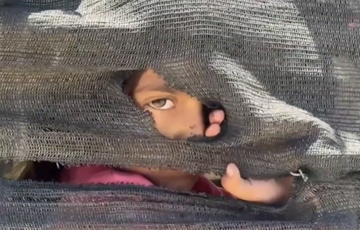 Infants i joves de Gaza devastats pels efectes del genocidi. El trauma continu actua com una tortura sobre les seves ments. Ens ho han explicat a <a href="/som3cat/">3Cat</a> un grup d’expertes en psicologia de la Universitat de Betlem convocades per l’ <a href="/ICIPeace/">ICIP</a>. La crònica: 3cat.cat/3cat/els-infan…