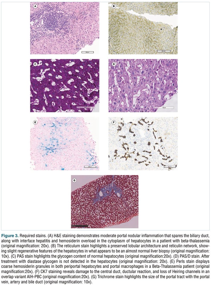 Pathologica tweet media