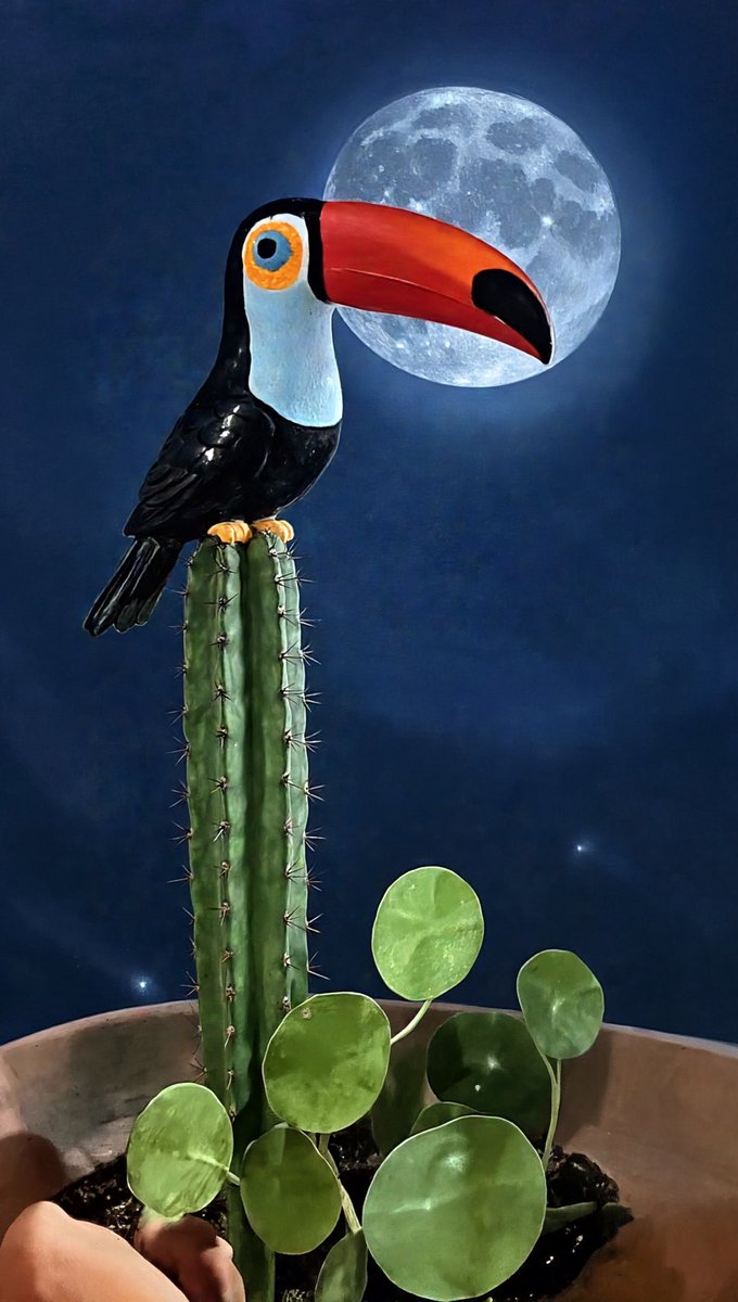 Cristóbal Valenzuela tweet media