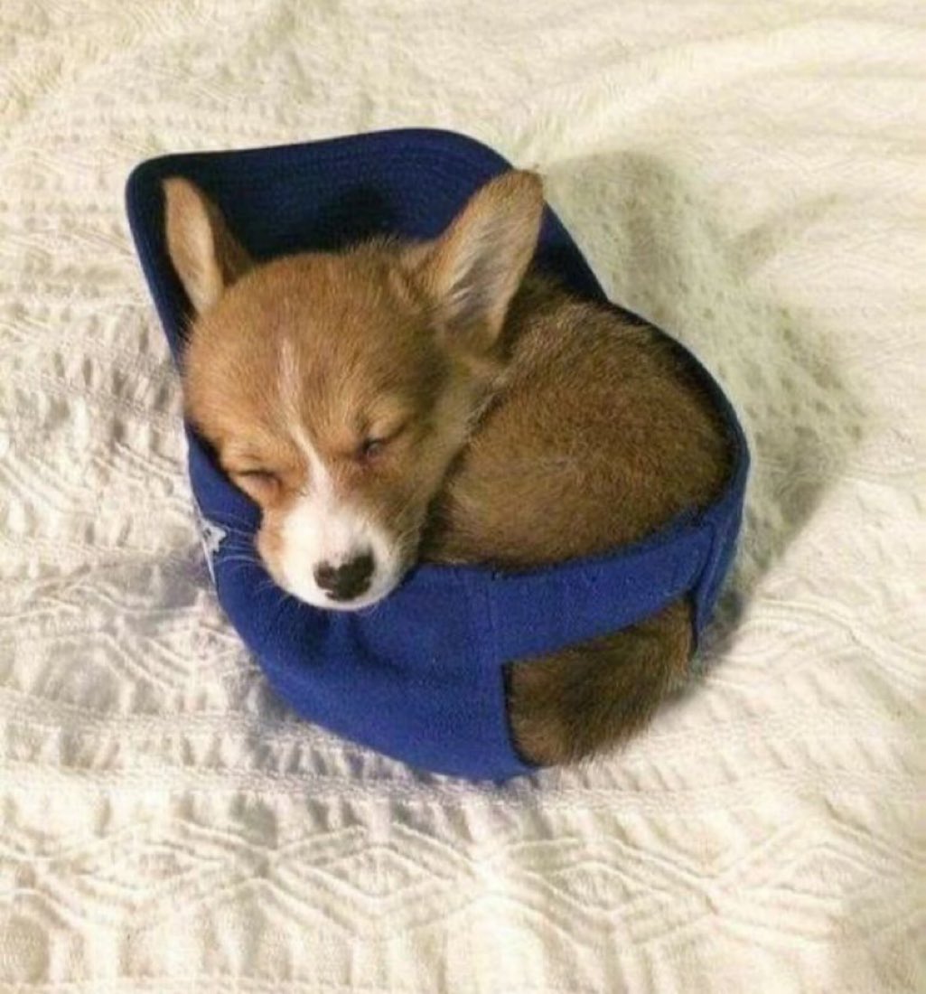 A08191015's tweet image. 僕の。