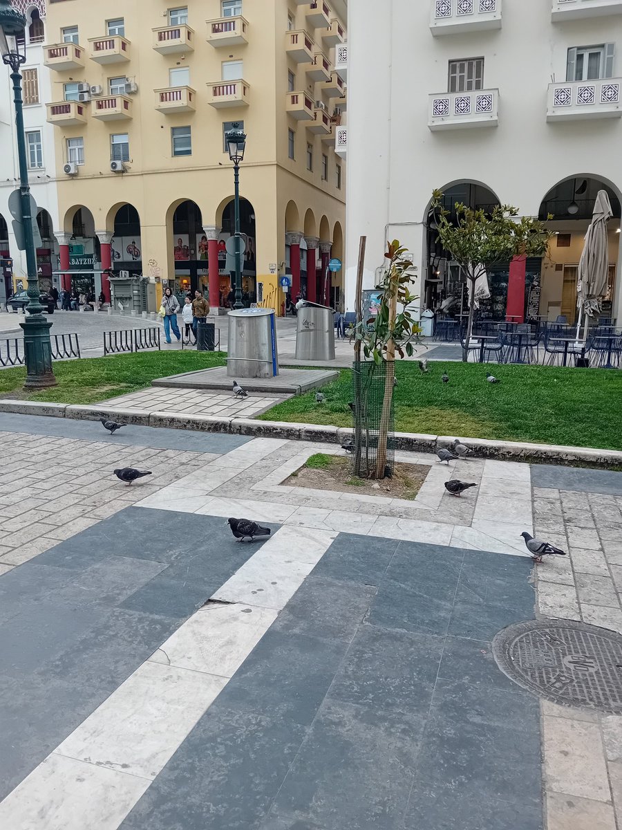 elina antoniou tweet media