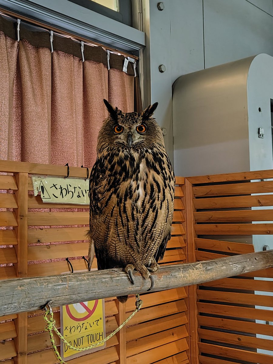 １日濃かった（笑）