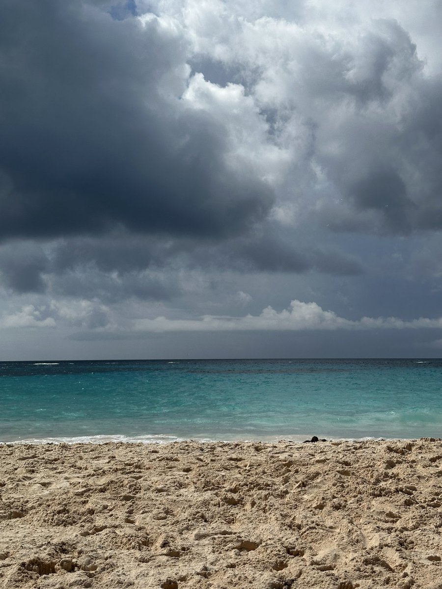 Bermuda Trickies tweet media