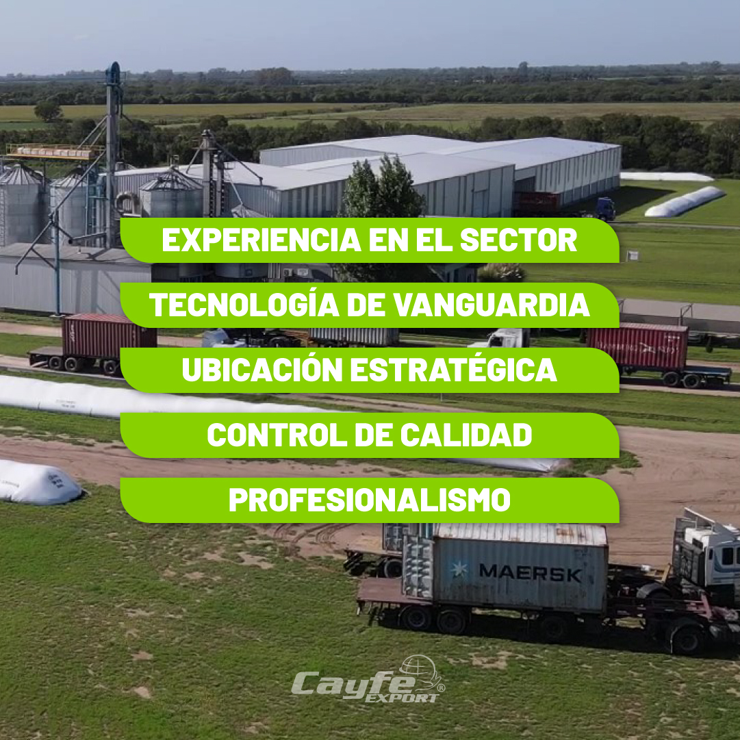 cayfe_export's tweet image. Hoy te contamos 5 razones para acondicionar tu producción con Cayfe Export 😉🏭

👉🏽 Deslizá y descubrí por qué somos tu mejor opción