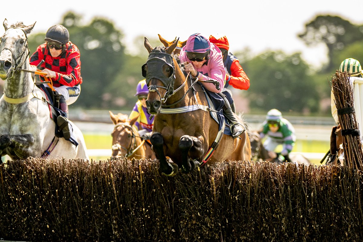 Race 2: The Download the <a href="/nrg_bet/">NRG.BET</a> App Handicap Steeple Chase

🥇 Ballintara
🥈Unblinking
🥉AnyTrixWillDo

Jockey: <a href="/mgoldie111/">marc goldstein</a> 
Trainer: Diana Grissell
Owner: Cockerell Cowing Racing