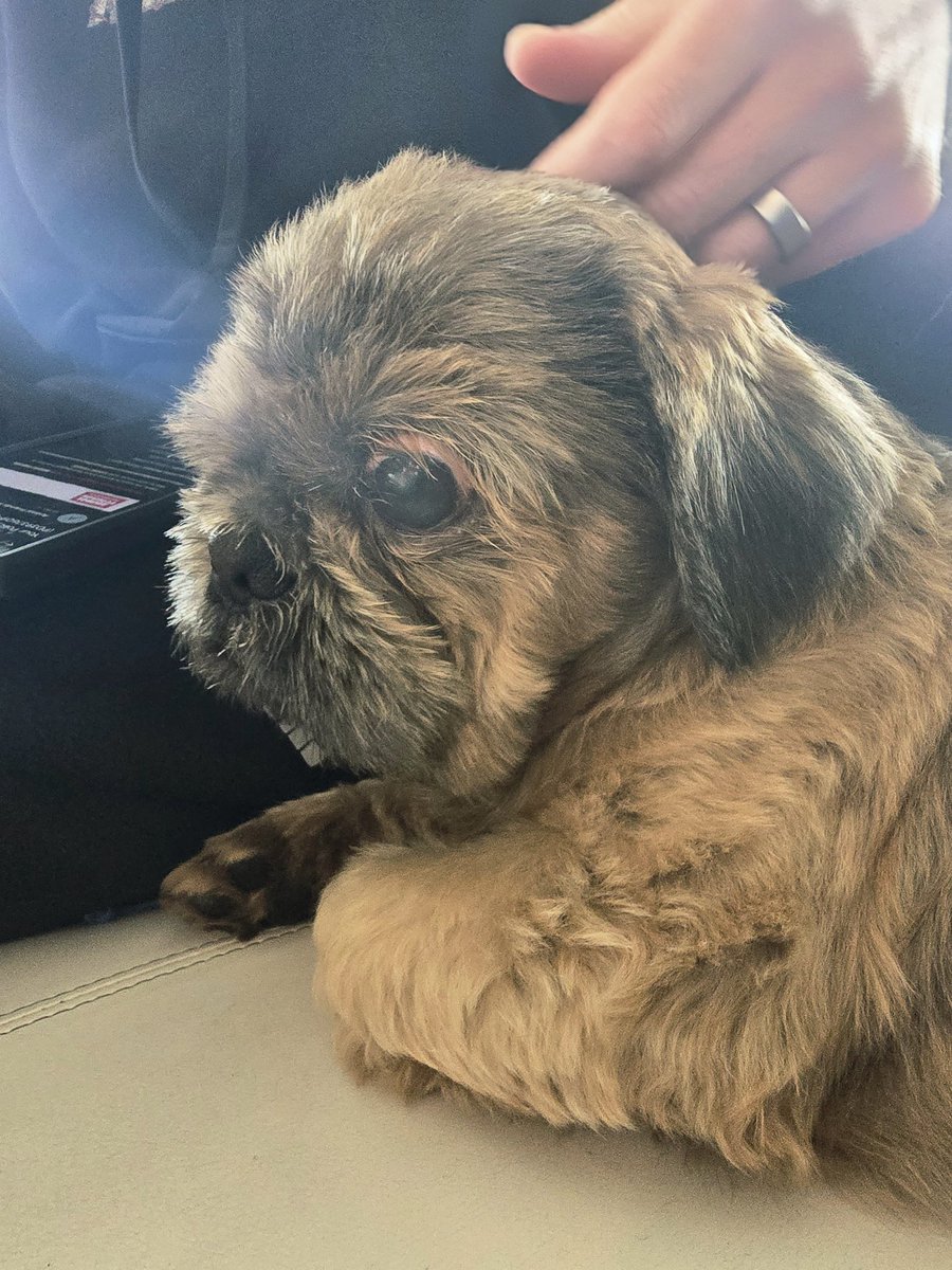 🇬🇧Mark R. Jones🇬🇧 tweet media