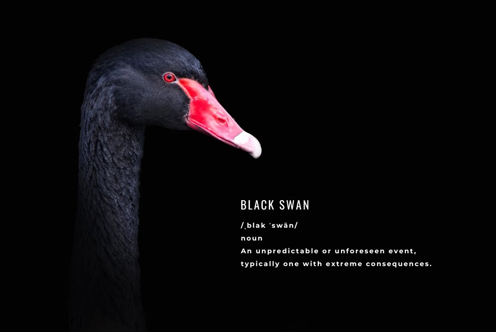 BLACK $SWANNY tweet media