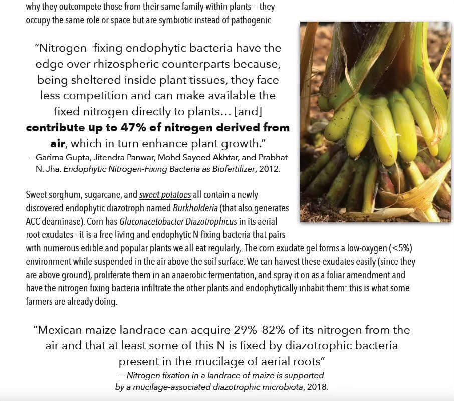 MattPowersSoil's tweet photo. Biology is the Key to Cutting Costs for Farmers & Rebuilding their #Soil, #NutrientDensity, & #Resilience both as a Farm Business & and Ecosystem!!
Read More Inside: https://t.co/r8mqJO9eJS https://t.co/54l6oYffmC