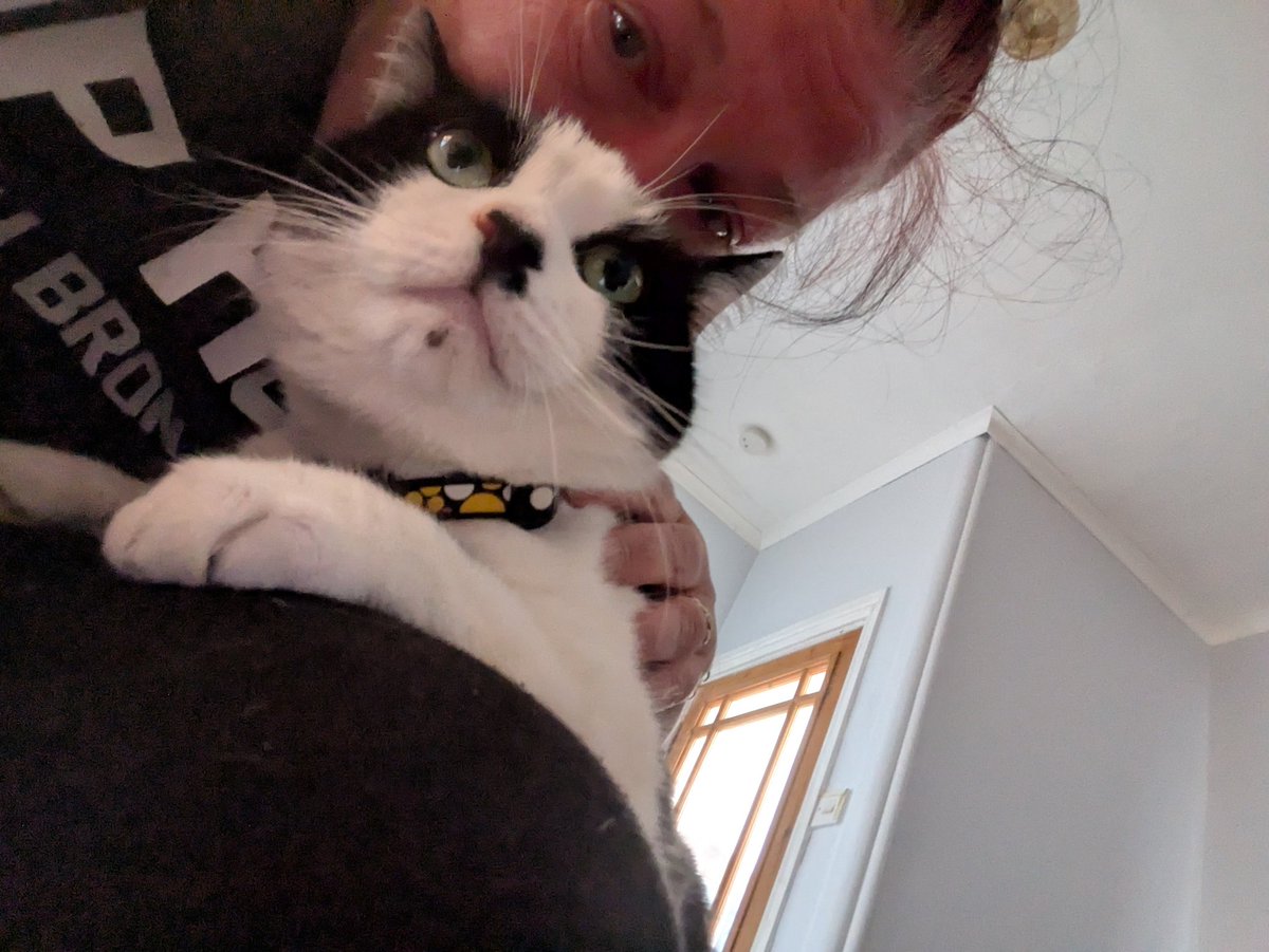 #Hedgewatch Chilling and snuggling with Mummy being all cute and stuff 🐾💜🐾