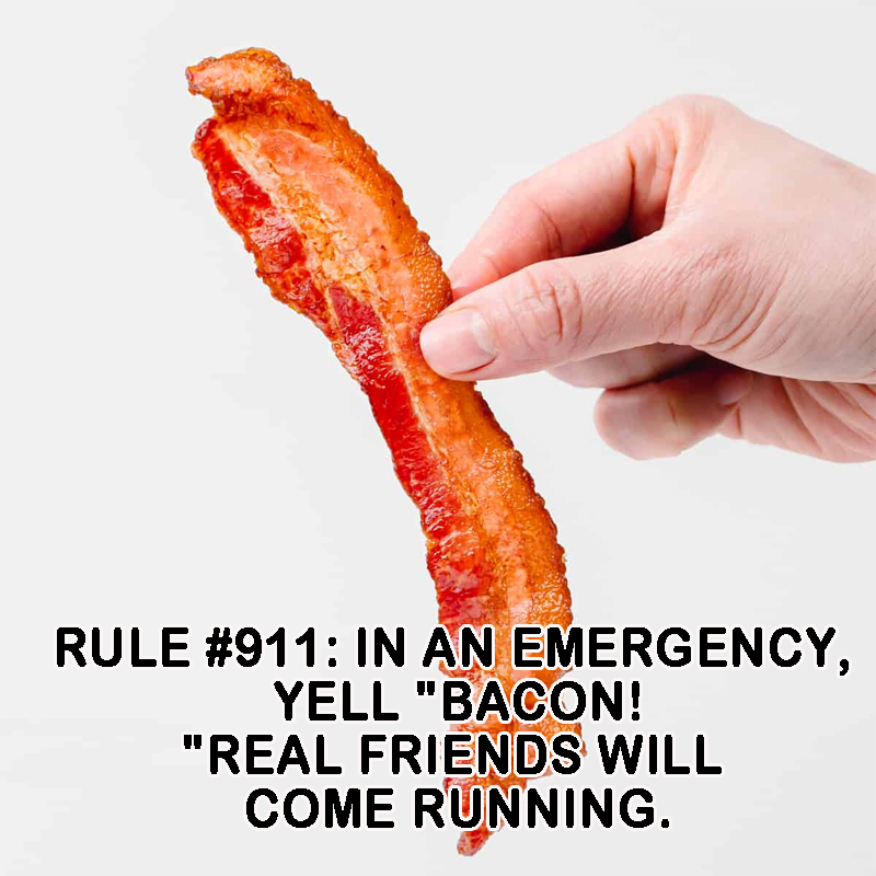 MAGA_MELISSA_69's tweet photo. Its a Bacon Emergency!
#BaconIsLife
#SizzleAndServe
#BaconAddict https://t.co/cRPq2sBozR