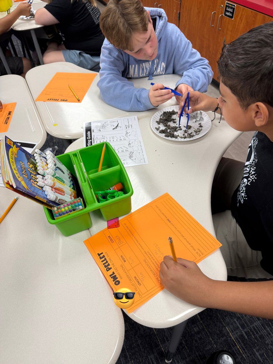 Lauren Russell tweet media