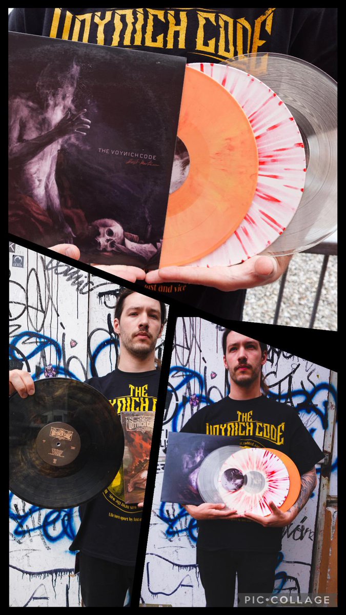 The Voynich Code tweet media