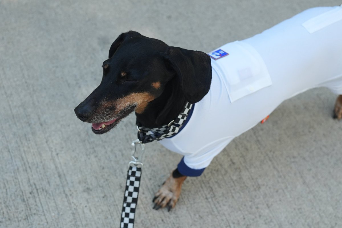 새옷 너무 이쁘고 시원한데
몸이 희니까 약간 인지부조화옴 ㅎㅎ