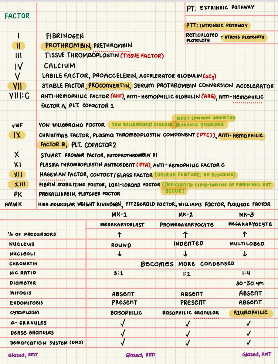 glazedmd's tweet image. HEMA 2 MTLE RECALLS SUMMARIZED EDITION 

Which I realize now na wow ang dami palang lumabas sa part na yan 🥹