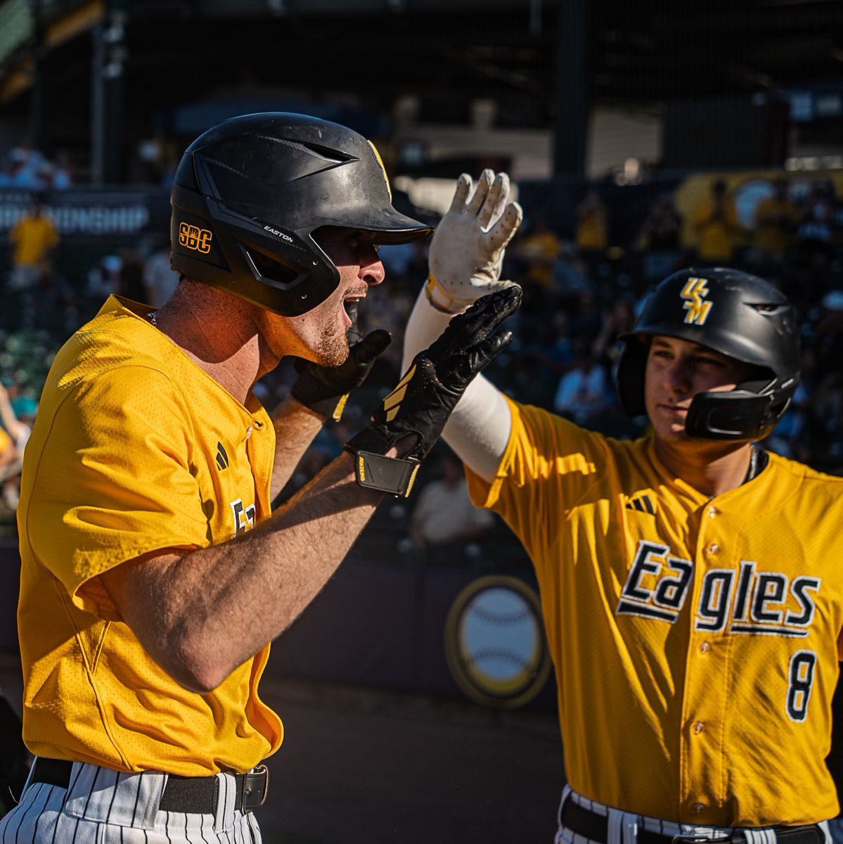 D1Baseball tweet media