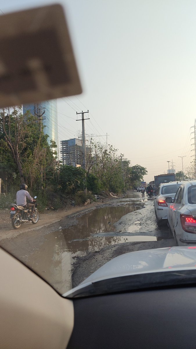 Schephalica tweet media