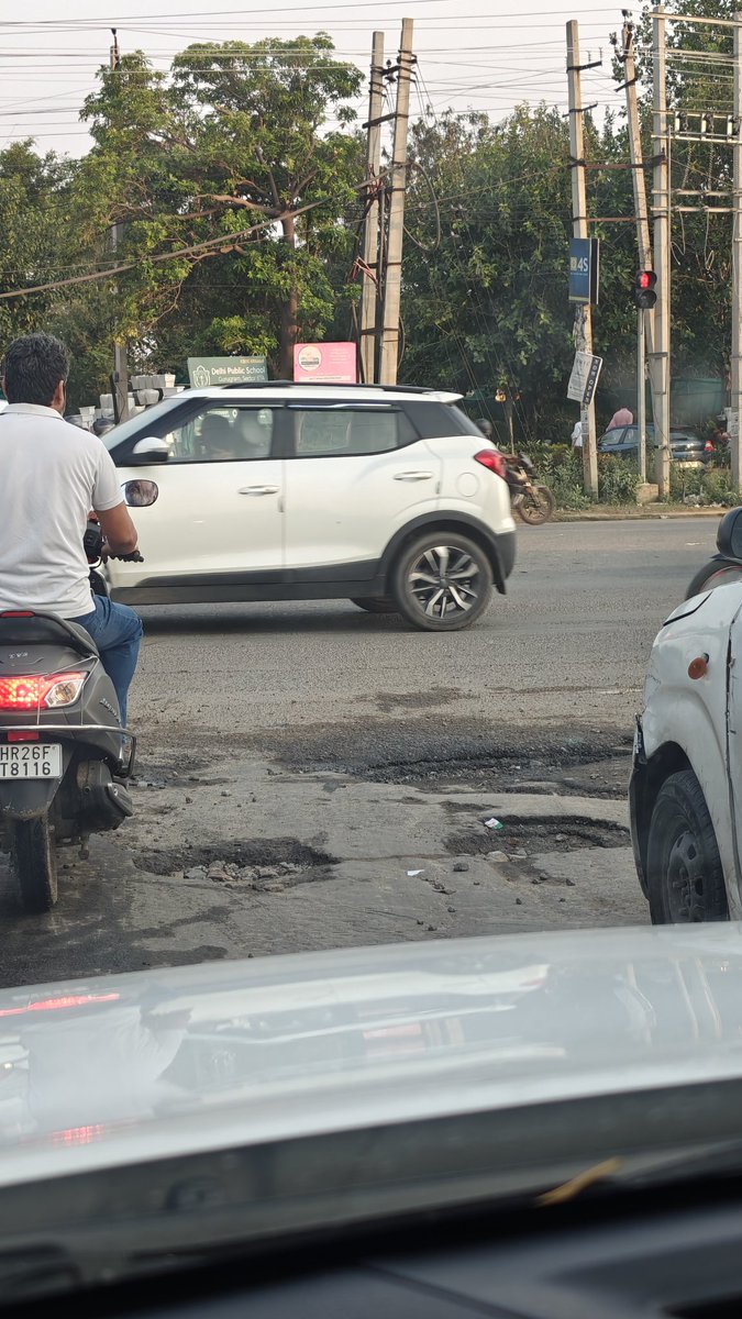 Schephalica tweet media