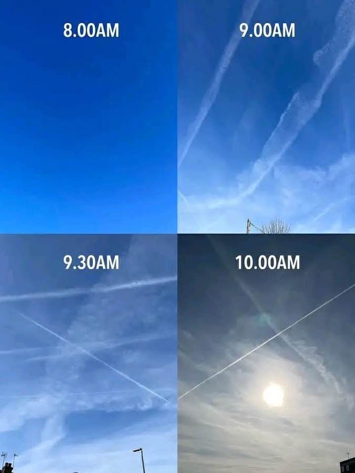 ALTERNATİF AKIM (@alternakim) on Twitter photo 