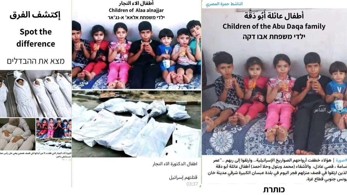 عيديت بار Idit Bar tweet media