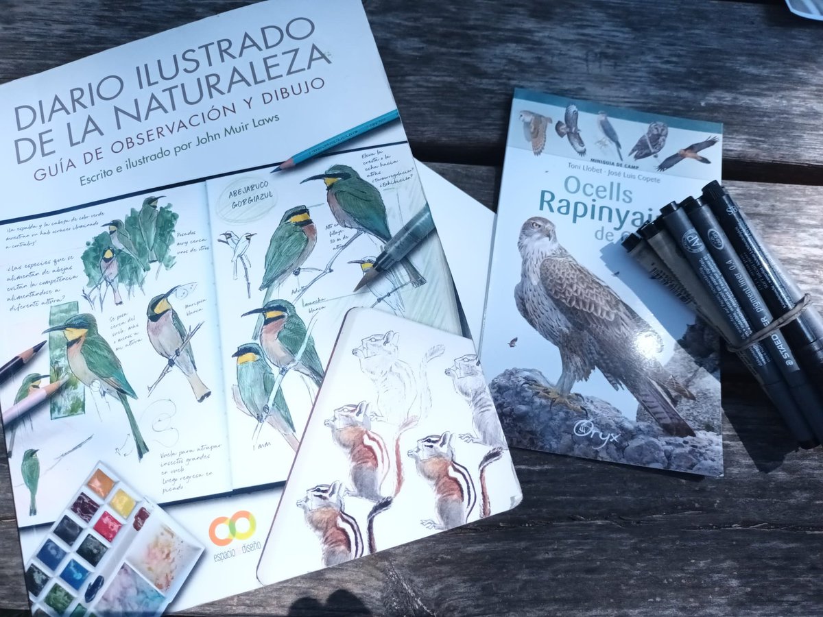Marta_Coca's tweet photo. 🐦Fantàstic matí d'#ornitologia i #biodiversitat al #ParcSamà a la #FestadelsFalciots! Gràcies a totes les persones que ho fan possible. https://t.co/x9l2aT345S