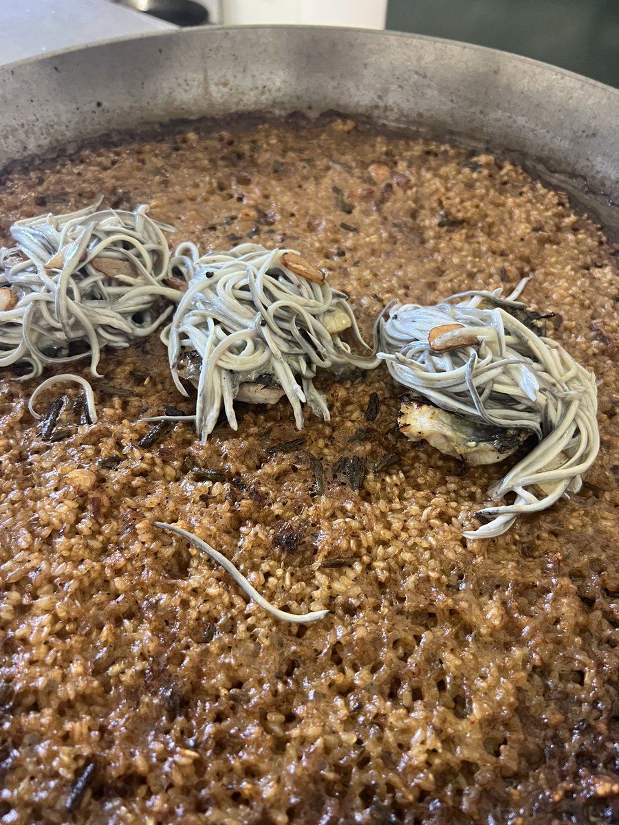 Un de carta ànec farcit i rostit i un fora pistes arrós anguila i angules! <a href="/Sol_Blanc/">Restaurant Sol Blanc</a>