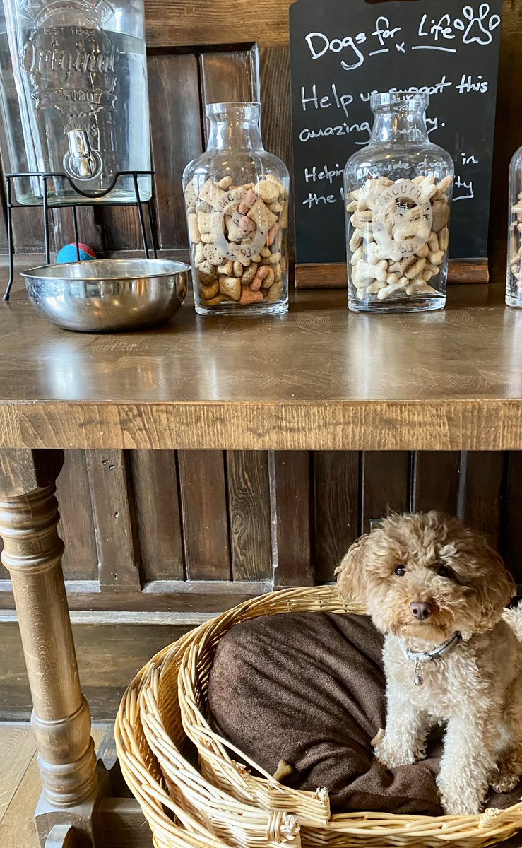 Paws &amp; Pints 🐾
We've got your furry friend covered while you enjoy your favourite pint!

Check out our Dog Station:
-Fresh water bowls &amp; dog beds
-Free treats
-Shady spots &amp; snuggles encouraged

Bring your pup, grab a brew, and stay a while.

#DogFriendlyPub #FurryRegulars