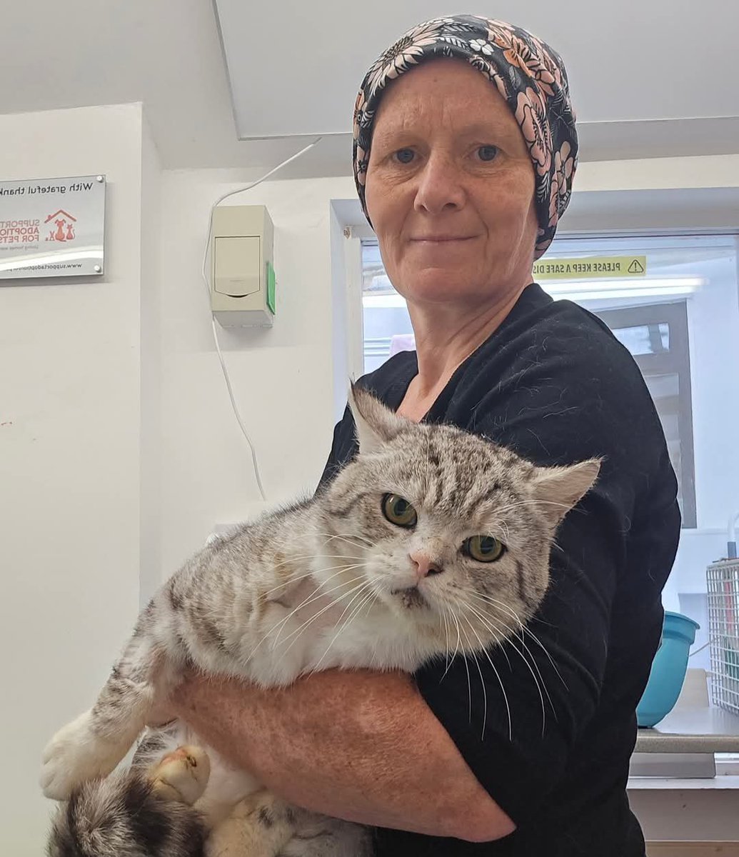 Bradford Cat Watch Rescue tweet media