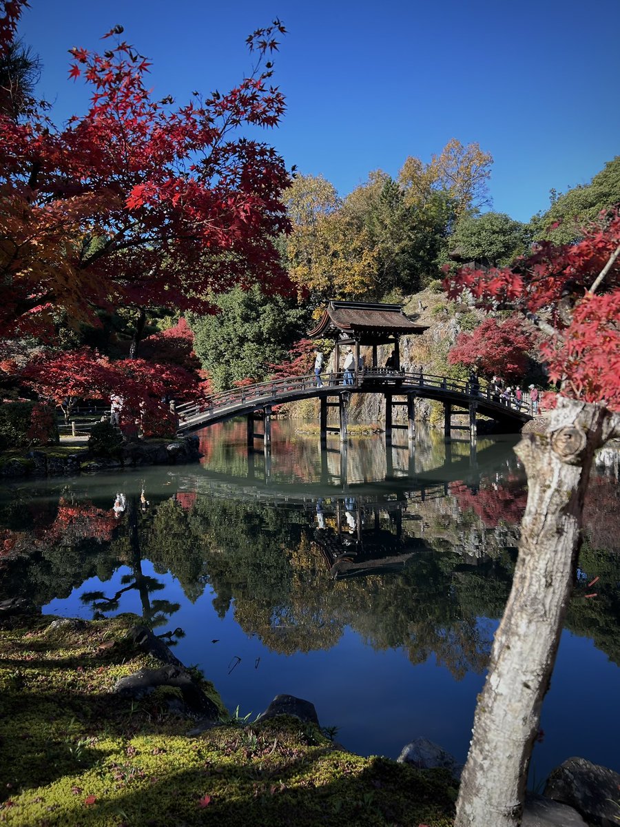 one of my favorite photos. 
#photography #NaturePhotography