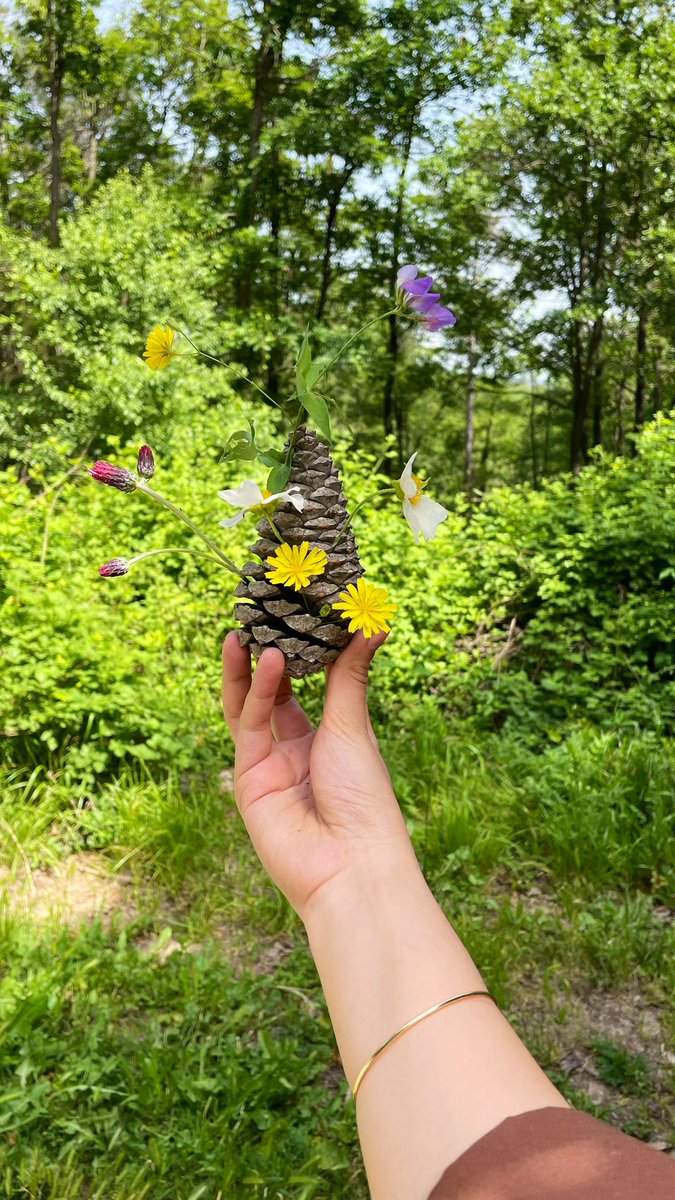 ilknurunaldi's tweet photo. Çiçeklendik..
🌼 https://t.co/NZkNI0SbyN