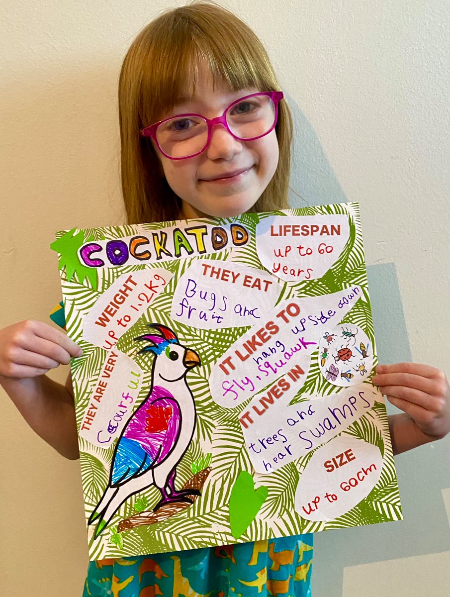 Pontyboy99's tweet image. This week Beatrice has been learning about cockatoos.