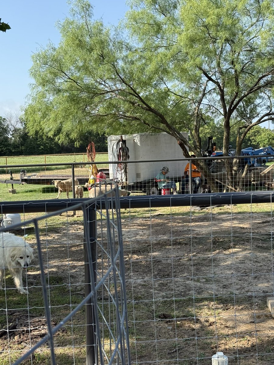 Hope you read till the end!   Food for thought….Today, we took advantage of Dayi’s extra day off. They were up early painting another section of the fence line. They mentioned they couldn’t come inside for breakfast, so I approached them, and they created a small seating area