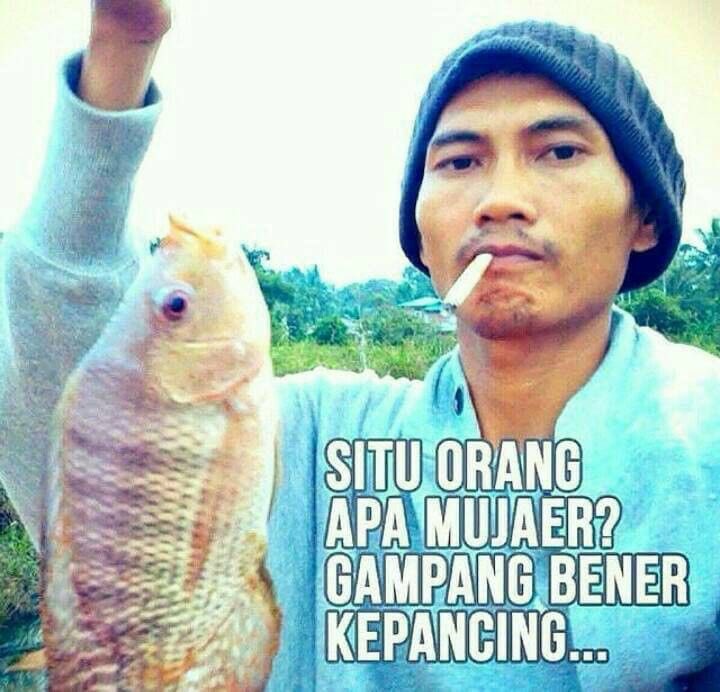 hrtjw0528's tweet photo. saatnyah perang meme #MEMANCING https://t.co/QSG4DgrCI1