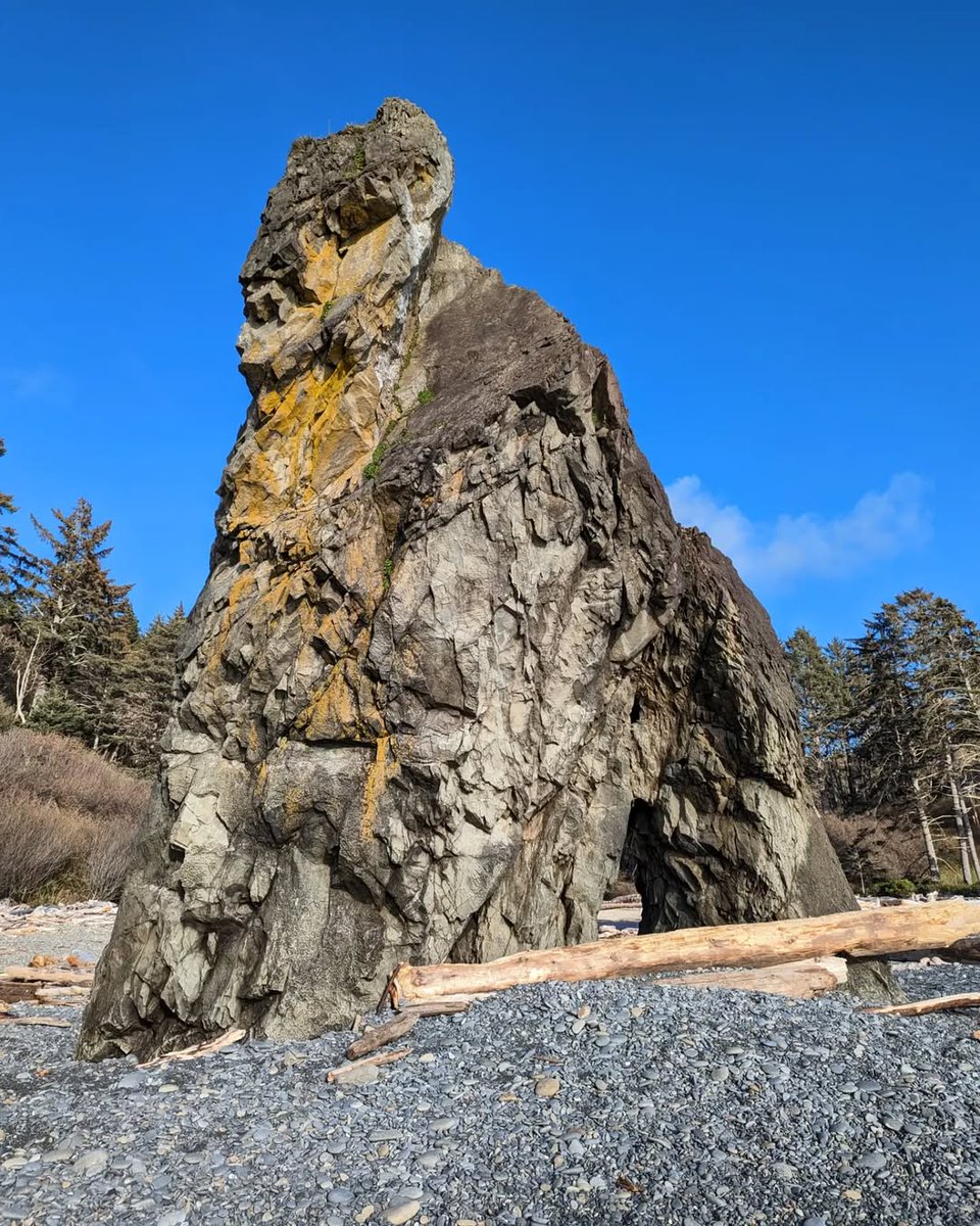 Bookspecial01's tweet photo. This rock, this beach, this magic. It gets me every time.
Ruby Beach in Washington.
#pnw #rubybeach #washington #beach #naturebathing #beachphotograhy #naturephotography #ocean #thepowerofnow #liveinthemoment #magicalnature #natureconnection https://t.co/2OYmJoZEJM