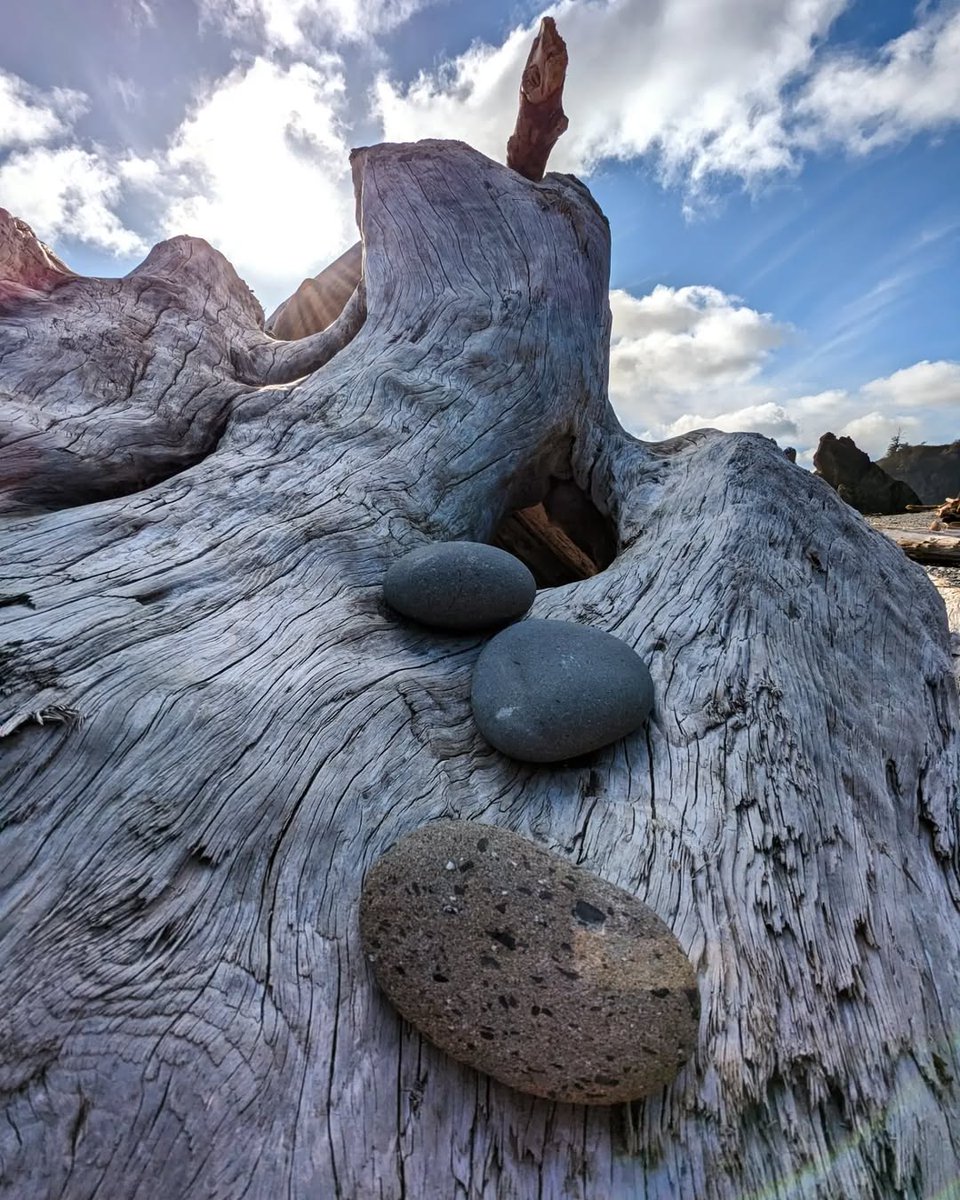 Bookspecial01's tweet photo. This rock, this beach, this magic. It gets me every time.
Ruby Beach in Washington.
#pnw #rubybeach #washington #beach #naturebathing #beachphotograhy #naturephotography #ocean #thepowerofnow #liveinthemoment #magicalnature #natureconnection https://t.co/2OYmJoZEJM