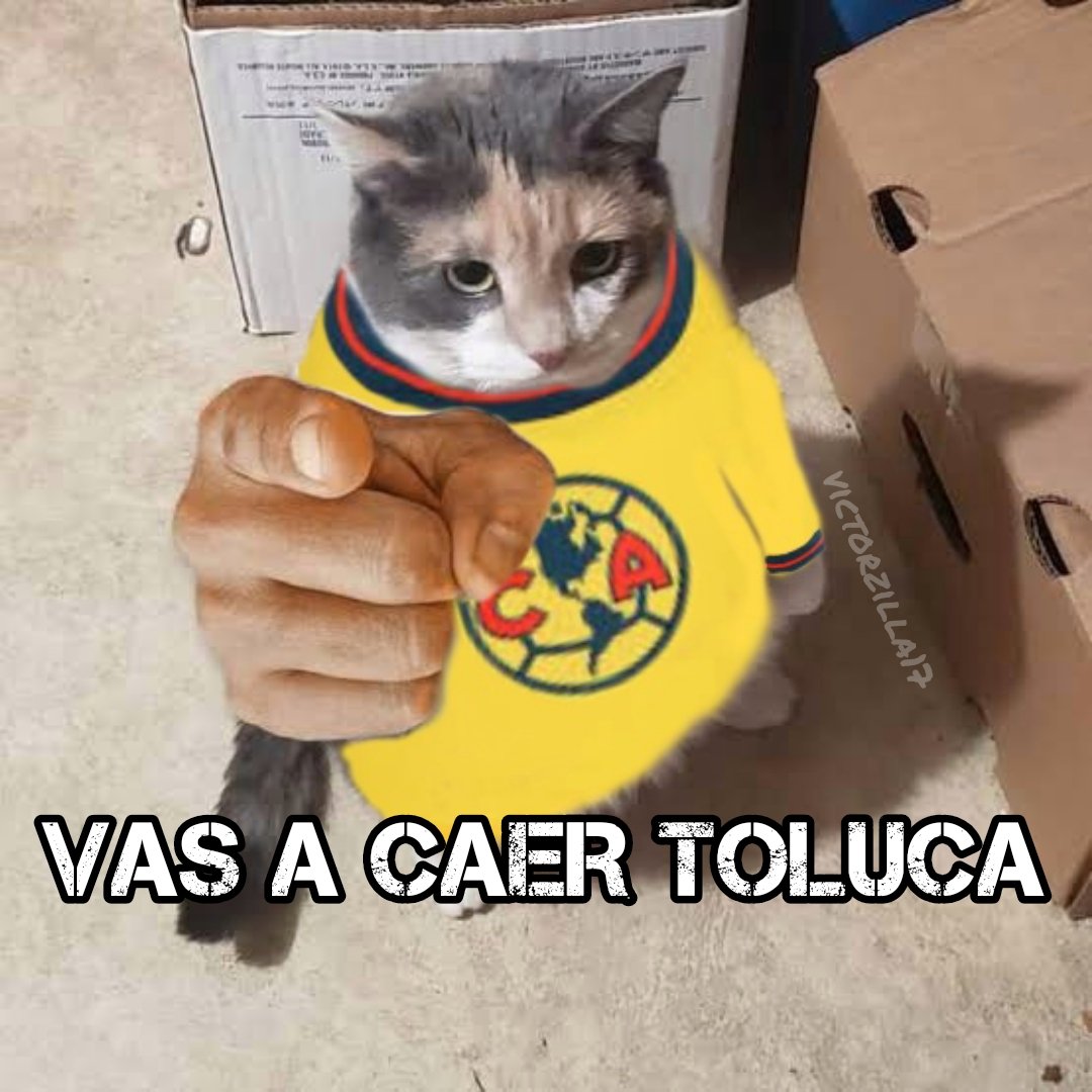 Victorzilla (@victorzilla17) on Twitter photo 