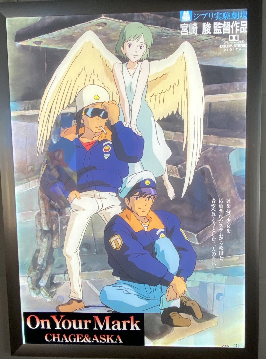 たぬき 希少 ake on X:  ポスター