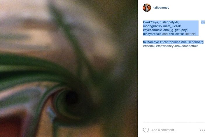 Art of the Day: "#RICHARDPRINCE #8". Buy at: ArtPal.com/richardprince?…