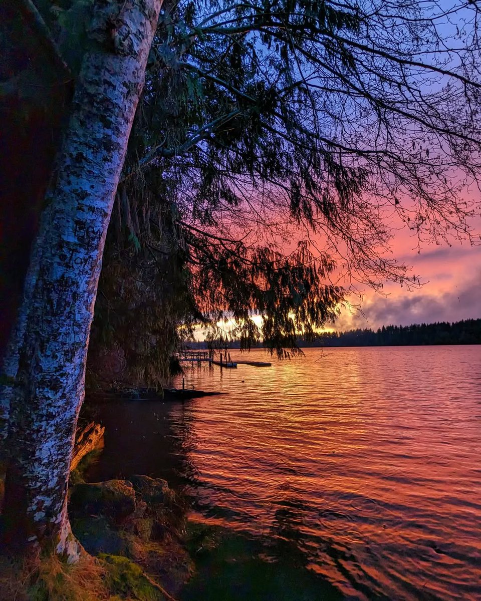 Bookspecial01's tweet photo. "You say you love the world, so love the world."⁣
~Ada Limón, lines from the poem 'The Same Thing'⁣
⁣
I hope all northern hemisphere folks are enjoying the longest day of the year☀️ ⁣
This lake is near the house I'm visiting.
⁣
#summersolstice #natureconnection⁣
#washington https://t.co/ii0uO8x2m9